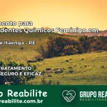 Tratamento para Dependentes Químicos Feminino em Lagoa de Itaenga – PE