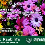 Tratamento para Dependentes Químicos Feminino em Lagoa do Barro do Piauí – PI