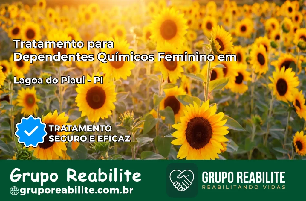 Tratamento para Dependentes Químicos Feminino em Lagoa do Piauí – PI