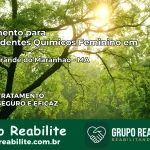 Tratamento para Dependentes Químicos Feminino em Lagoa Grande do Maranhão – MA
