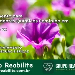 Tratamento para Dependentes Químicos Feminino em Laguna – SC