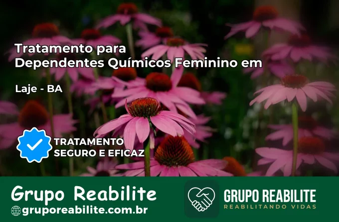 Tratamento para Dependentes Químicos Feminino em Laje – BA
