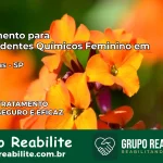 Tratamento para Dependentes Químicos Feminino em Lavrinhas – SP