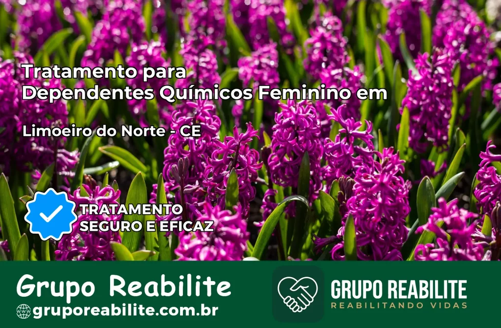 Tratamento para Dependentes Químicos Feminino em Limoeiro do Norte – CE