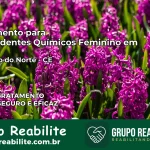 Tratamento para Dependentes Químicos Feminino em Limoeiro do Norte – CE