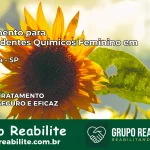 Tratamento para Dependentes Químicos Feminino em Luiziânia – SP