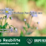 Tratamento para Dependentes Químicos Feminino em Lunardelli – PR