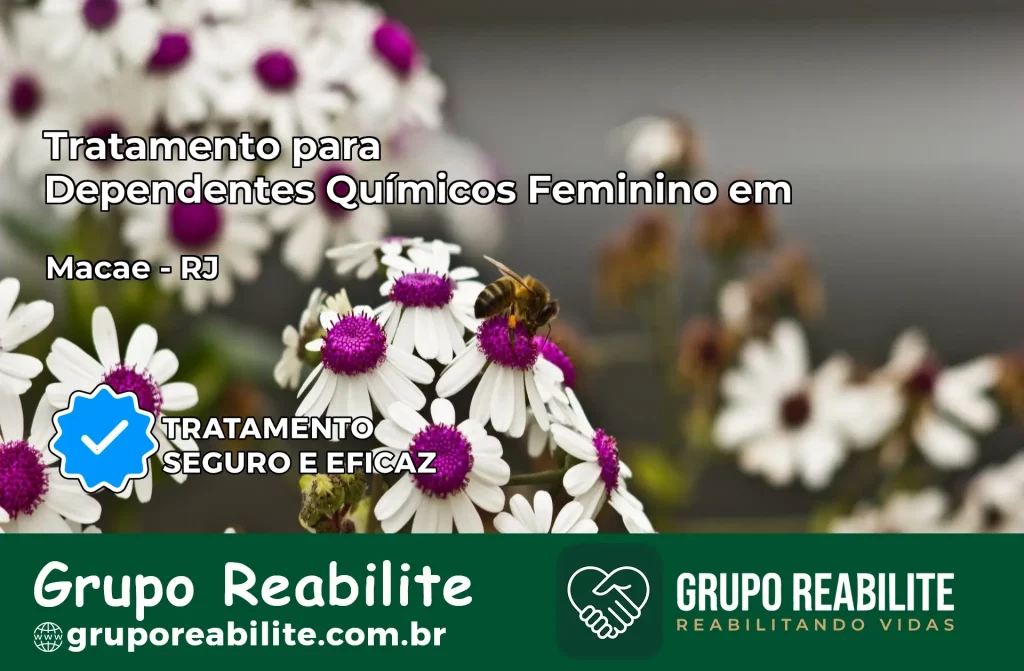 Tratamento para Dependentes Químicos Feminino em Macaé – RJ