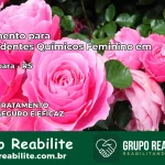 Tratamento para Dependentes Químicos Feminino em Maçambará – RS
