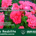 Tratamento para Dependentes Químicos Feminino em Macaparana – PE