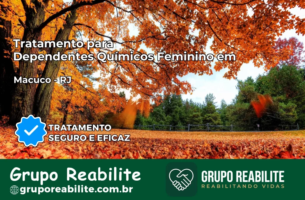 Tratamento para Dependentes Químicos Feminino em Macuco – RJ