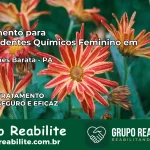 Tratamento para Dependentes Químicos Feminino em Magalhães Barata – PA