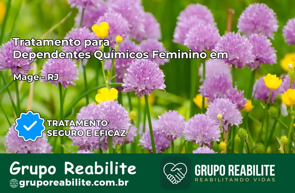 Tratamento para Dependentes Químicos Feminino em Magé – RJ