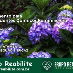 Tratamento para Dependentes Químicos Feminino em Mairinque – SP
