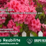 Tratamento para Dependentes Químicos Feminino em Mambaí – GO