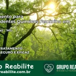 Tratamento para Dependentes Químicos Feminino em Mamonas – MG
