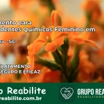 Tratamento para Dependentes Químicos Feminino em Maravilha – SC
