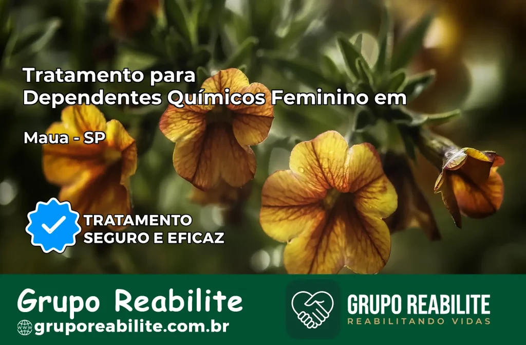 Tratamento para Dependentes Químicos Feminino em Mauá – SP