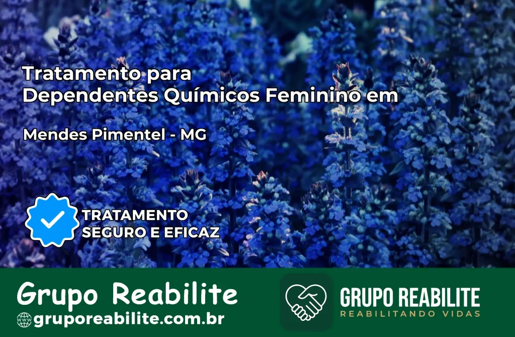 Tratamento para Dependentes Químicos Feminino em Mendes Pimentel – MG