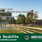 Tratamento para Dependentes Químicos Feminino em Milagres do Maranhão – MA