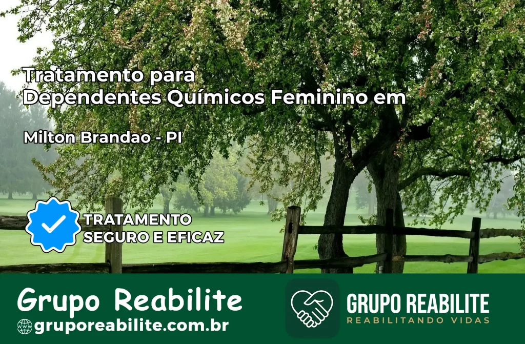 Tratamento para Dependentes Químicos Feminino em Milton Brandão – PI