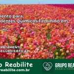 Tratamento para Dependentes Químicos Feminino em Minduri – MG