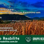 Tratamento para Dependentes Químicos Feminino em Moju – PA