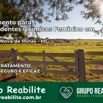 Tratamento para Dependentes Químicos Feminino em Morada Nova de Minas – MG