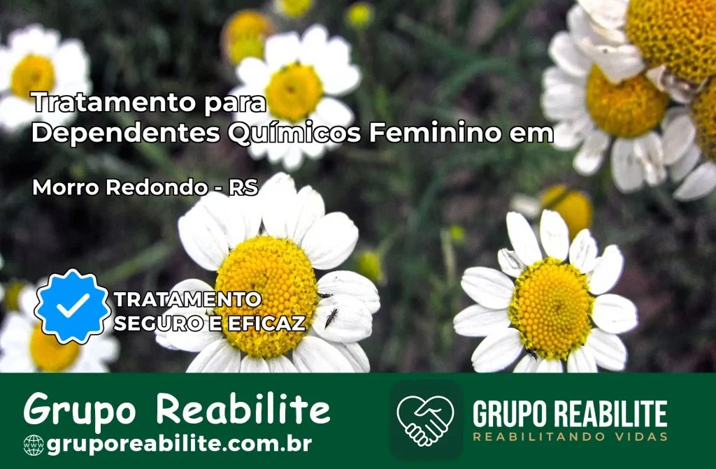 Tratamento para Dependentes Químicos Feminino em Morro Redondo – RS