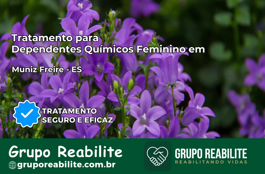 Tratamento para Dependentes Químicos Feminino em Muniz Freire – ES