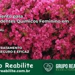 Tratamento para Dependentes Químicos Feminino em Murici – AL