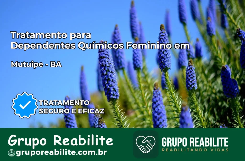 Tratamento para Dependentes Químicos Feminino em Mutuípe – BA