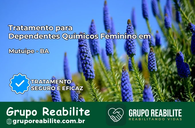 Tratamento para Dependentes Químicos Feminino em Mutuípe – BA