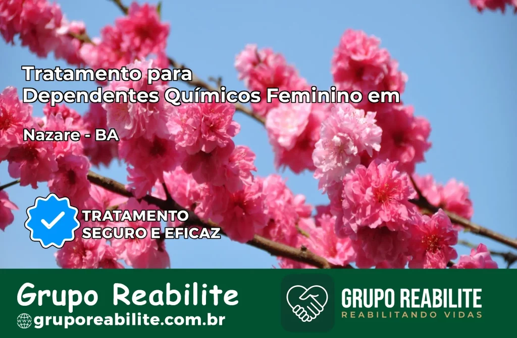 Tratamento para Dependentes Químicos Feminino em Nazaré – BA