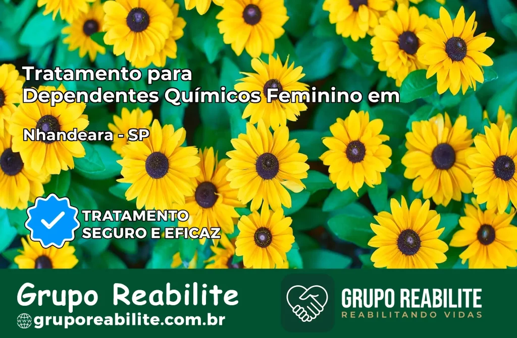 Tratamento para Dependentes Químicos Feminino em Nhandeara – SP
