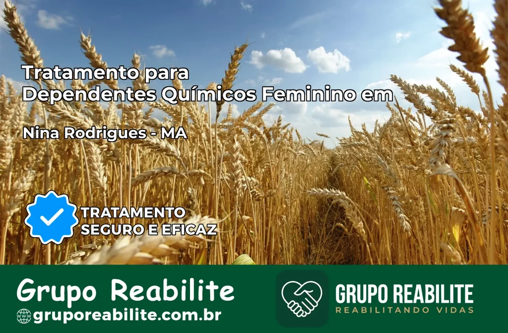 Tratamento para Dependentes Químicos Feminino em Nina Rodrigues – MA