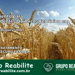 Tratamento para Dependentes Químicos Feminino em Nina Rodrigues – MA