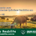 Tratamento para Dependentes Químicos Feminino em Nioaque – MS