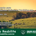 Tratamento para Dependentes Químicos Feminino em Normandia – RR