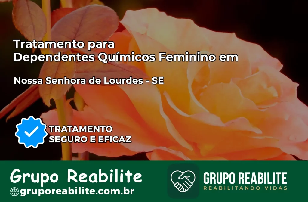 Tratamento para Dependentes Químicos Feminino em Nossa Senhora de Lourdes – SE