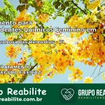 Tratamento para Dependentes Químicos Feminino em Nossa Senhora dos Remédios – PI