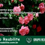 Tratamento para Dependentes Químicos Feminino em Nova Boa Vista – RS