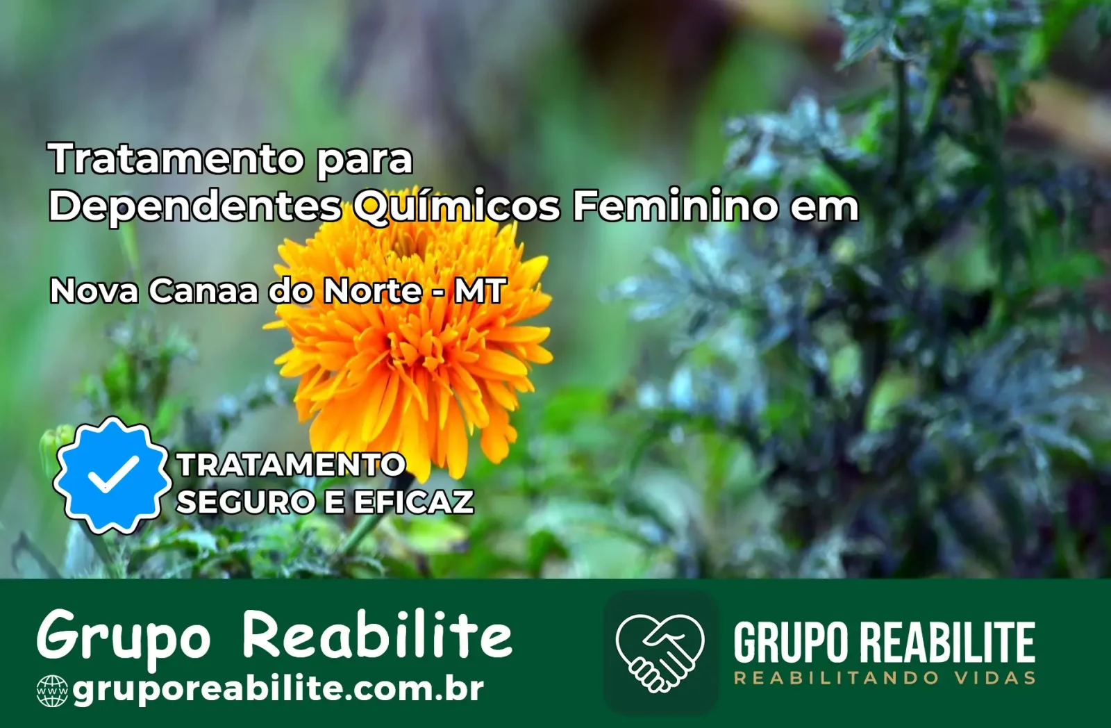 Tratamento para Dependentes Químicos Feminino em Nova Canaã do Norte – MT