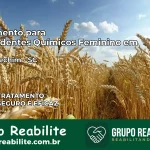 Tratamento para Dependentes Químicos Feminino em Nova Erechim – SC
