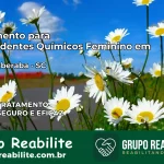 Tratamento para Dependentes Químicos Feminino em Nova Itaberaba – SC