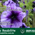 Tratamento para Dependentes Químicos Feminino em Nova Lima – MG