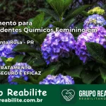 Tratamento para Dependentes Químicos Feminino em Nova Santa Rosa – PR