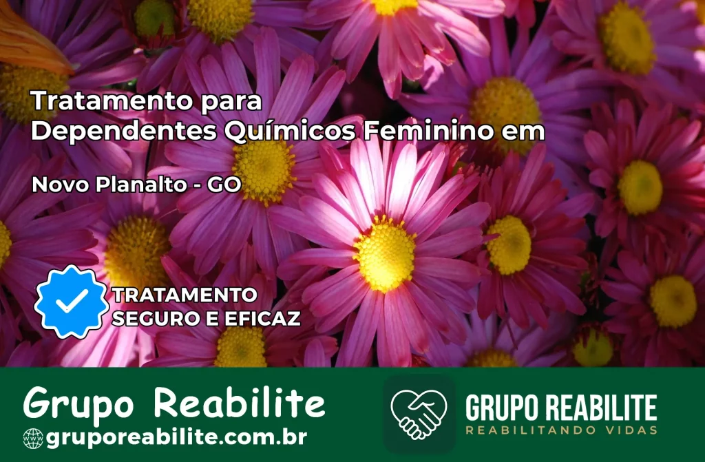 Tratamento para Dependentes Químicos Feminino em Novo Planalto – GO