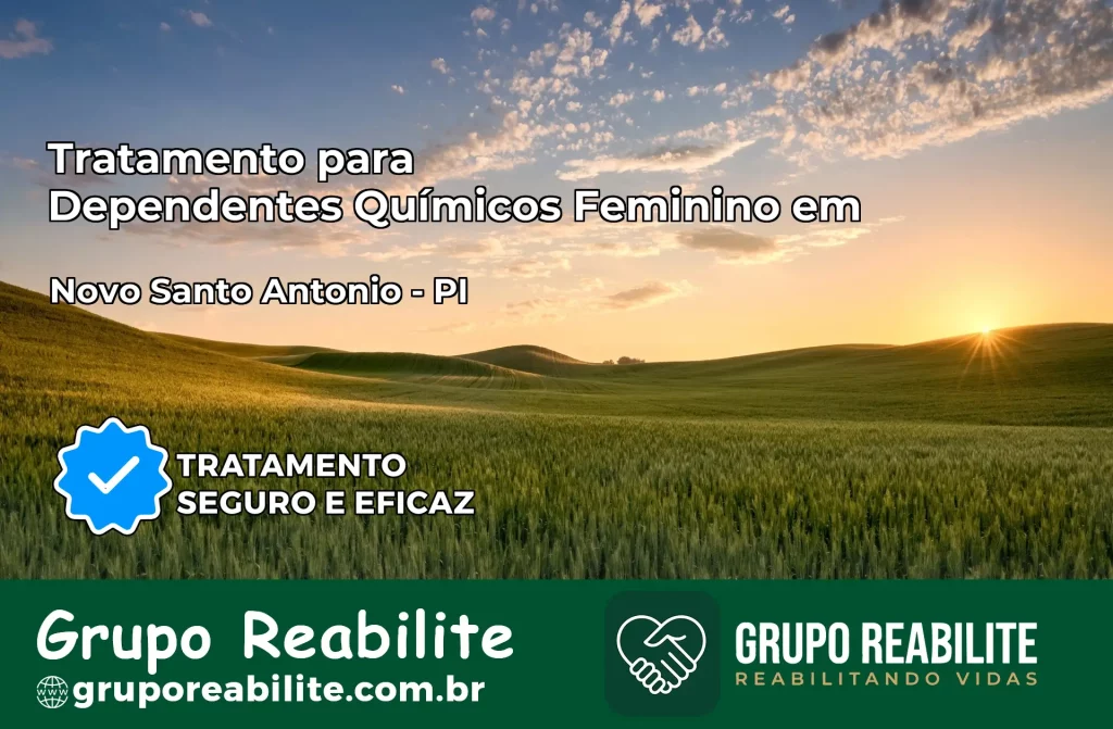 Tratamento para Dependentes Químicos Feminino em Novo Santo Antônio – PI