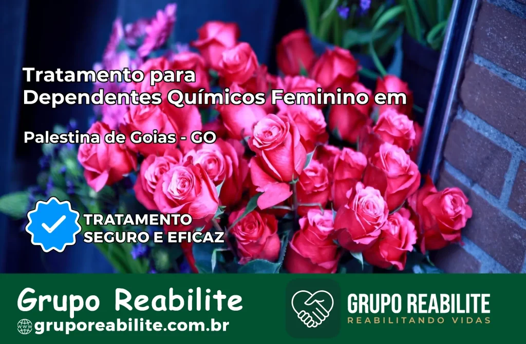 Tratamento para Dependentes Químicos Feminino em Palestina de Goiás – GO